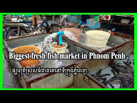 Biggest fresh fish market in Phnom Penh city / Best fish market view in Phnom Penh.