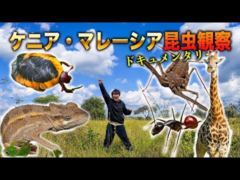 ケニアとマレーシアでとんでもない生物観察をせよ！[ケニア&マレーシアドキュメンタリー2025]