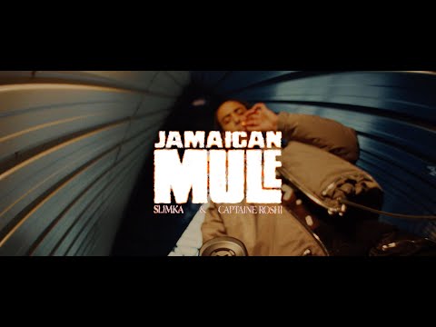 Video thumbnail for Jamaican Mule