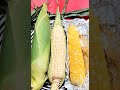 How to Say Corn speaking Abenaki Language 🌽#cornlover #threesisters #3sisters #nativeamerican