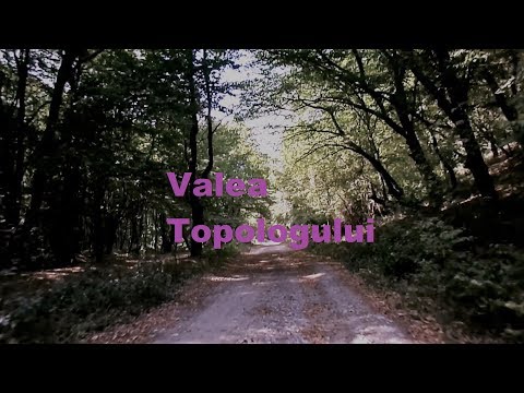 Valea Topologului Cu Masina