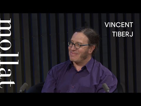 Vincent Tiberj -  Extinction de vote ?