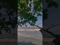 Makane Song Vazha Whatsapp Status Video Shortvideos Vazha Song Iphone13 Imotional Sea Youtube