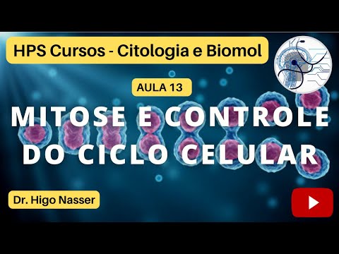 AULA 13 - Mitose e Controle do Ciclo Celular #medicina #morfologia #celular #biologiamolecular #enem