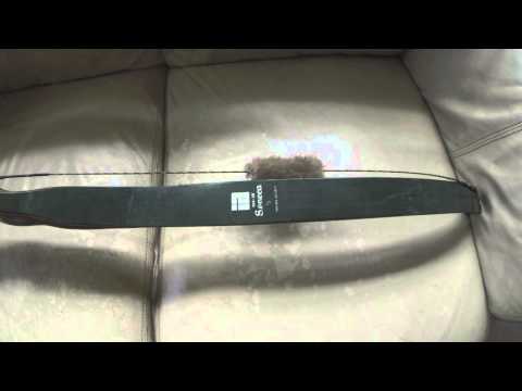 astv~ TY'S BOW COLLECTION , bob lee, hoyt dorado, pse buck eye, bear mauler