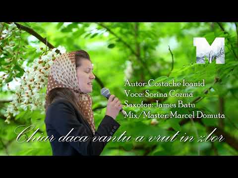 Sorina Cozma - Chiar dacă vântu-a vrut în zbor [Live 2025]