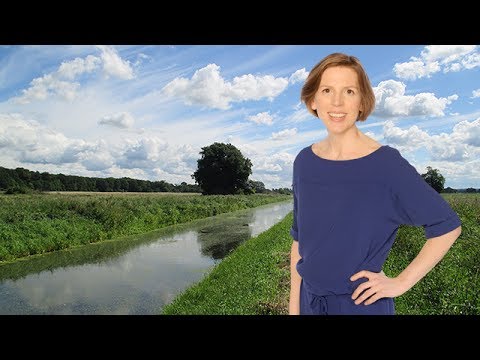 Am Wochenende zunächst oft freundlich  (23.06.2017)