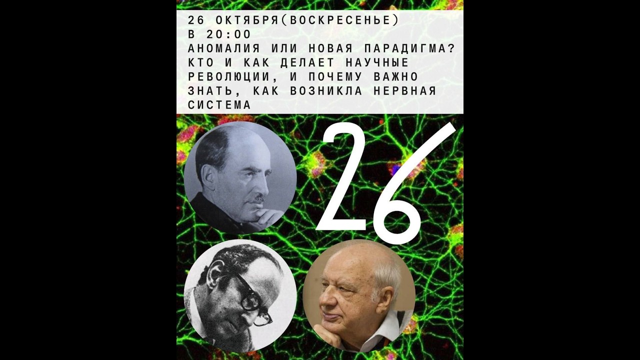 Михаил Никитин, Симха Борман: Аномалия или новая парадигма?