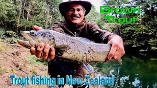 Download Lagu Fly Fishing u0026 Soft-bait for Brown Trout in Flaxy Lake in NZ Ep 168 Thumbnail