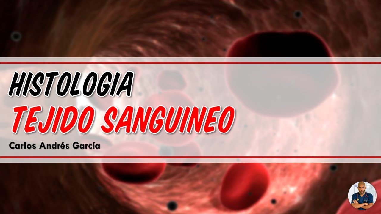 Histología - Tejido Sanguíneo (Plasma, Hematíes, Leucocitos y Plaquetas)
