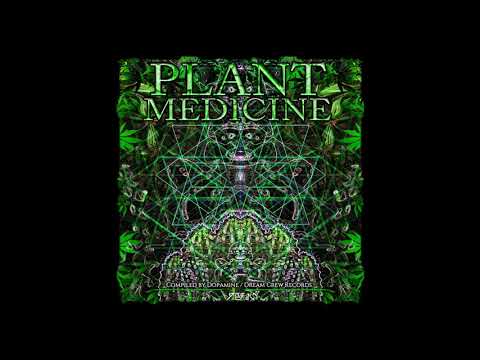 Disobedient Perception - Drain the swamp