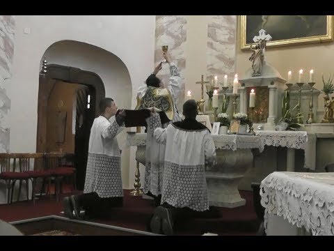 Missa cantata (Perbethe), 2015