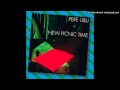 PERE UBU -A Small Dark Cloud- 