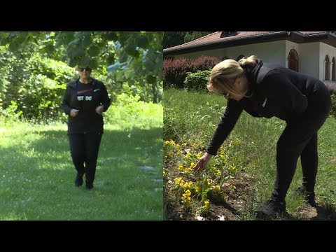 Grand News - Snezana Djurisic trenira, Sandra Resic se popela na drvo, Uros Zivkovic zatvorio kafanu