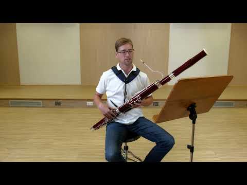 Fagott "Le Petit Puce" - Volker Werner (D1)