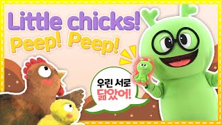 영어동화 | 세계명작동화 | 작은 병아리와 큰 닭, 우리는 닮은 꼴! | english | 어린이영어 | 베이비리그 | 규리앤프렌즈