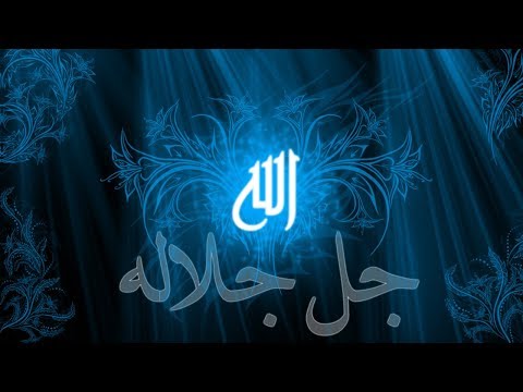 STIDIŠ LI SE ALLAHA? || prof. Nevad Alijagić