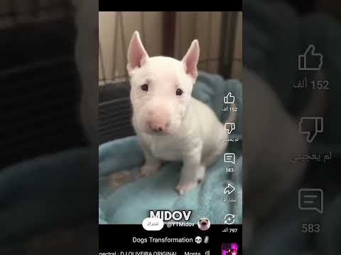 ٣٠ يناير ٢٠٢٥