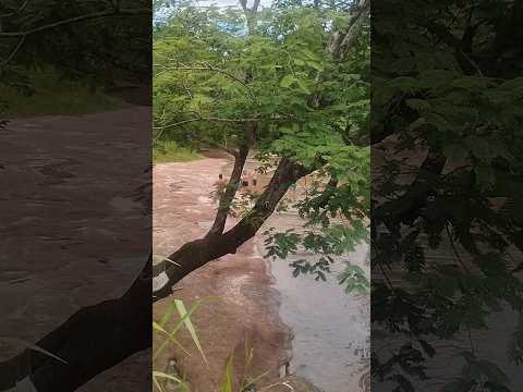 01/01/25, Palmeiras, MS.#matogrossodosul #turismo #palmeiras #viagem #doisirmaosdoburiti