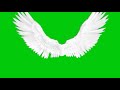 Green Screen Wings Fairy White Wings 85819938