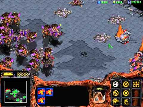 Starcraft Brood War Campaign Episode VI: Zerg 10 - Omega (3/4)
