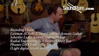 Video thumbnail for LYDIA Acoustic Guitar Pickup from Schertler by soundpurestudios