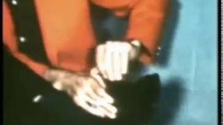 Carl Perkins, Johnny Cash and Buddy Holly at Fair Park 1956