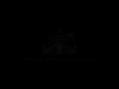 Live || Sunday, February 22, 2026 | 10:30 am - Celebration of the Holy Mass.