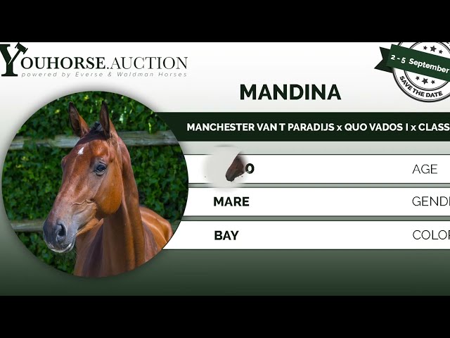 Mandina