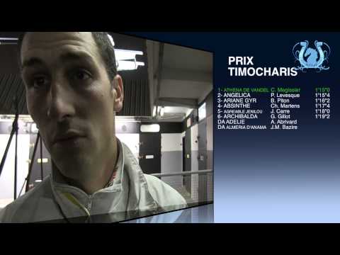 A2TURF.COM - RETOUR : Prix Timocharis : ATHENA DE VANDEL