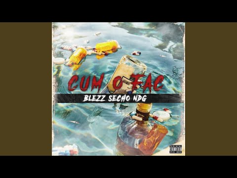 Cum o fac (feat. SECHO, BLEZZ & NDG)