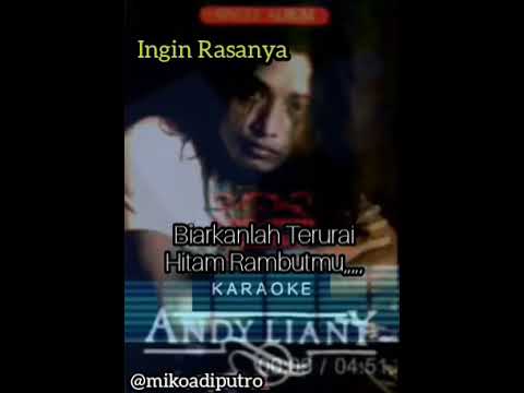 Andy Liany Ingin Rasanya Karaoke #andyliany