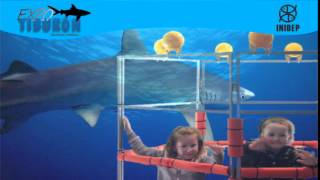 DIA 2 Expo Tiburon112