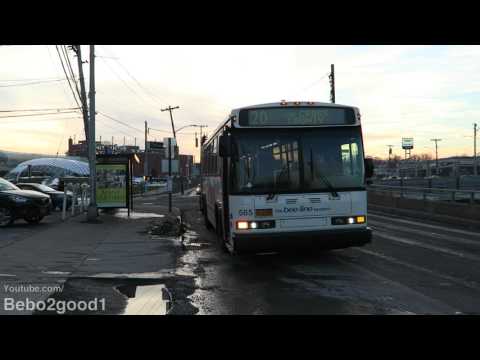 Beeline 20 Bus Time Schedule