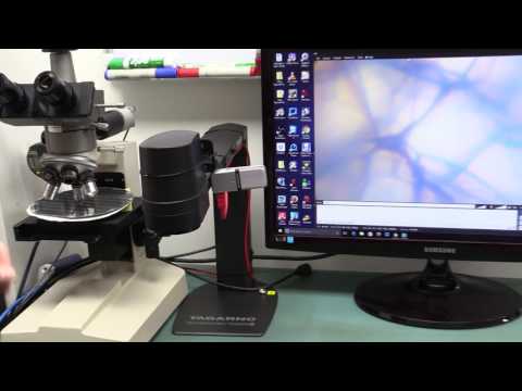 Wafer Microscope Weirdness!