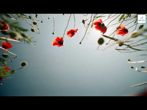 Jazz | (Deal breaker -  Sven Karlsson)