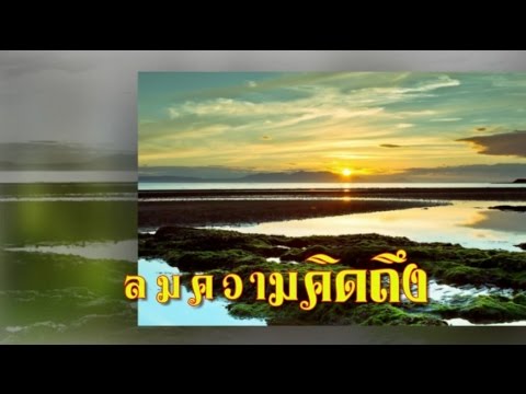 ลมความคิดถึง