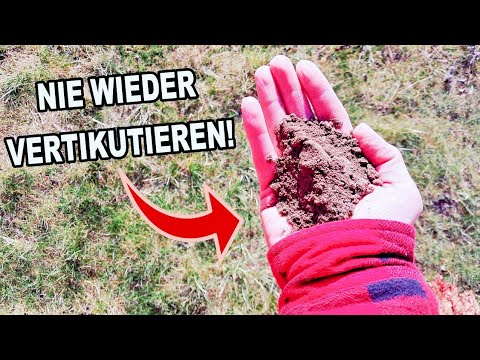 So hilft dir Kaffeesatz gegen Moos & Unkraut im Rasen!