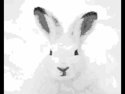 Carsten Rausch - I can see it (feat. Dan Morro).avi