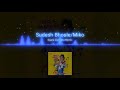 Saara Zamana Remix Big B Masala Mix