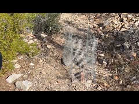 APH598/494: Peter Zumthor - The Magic of the Real | Gabion Wall