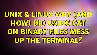 Unix & Linux: Why (and how) did using cat on binary files mess up the terminal? (2 Solutions!!)