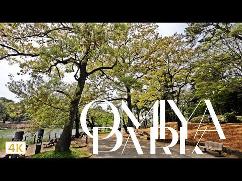 Omiya Park and Zoo | Japan