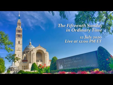 Fifteenth Sunday in Ordinary Time - July 12, 2020