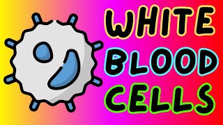 Structure and Function of White Blood Cells - Leukocytes 