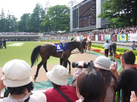 20090510 NHK Mile Cup at TokyoRaceCourse