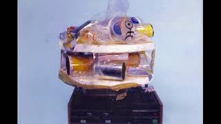 Einstürzende Neubauten - Ein Seltener Vogel