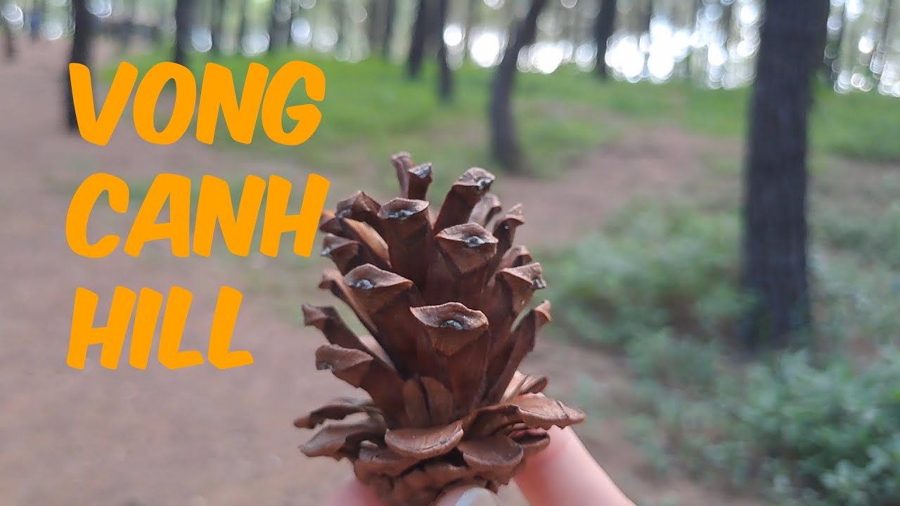 Discover a captivating glimpse of Vong Canh Hill.