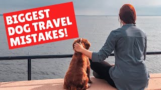 5 things NOT to do when road tripping with a dog!