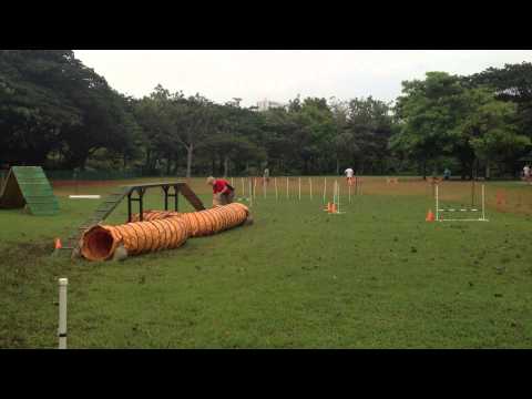 Equipment usage on 2 Dec 2012 - Raisa & Rekku (Part1).MOV